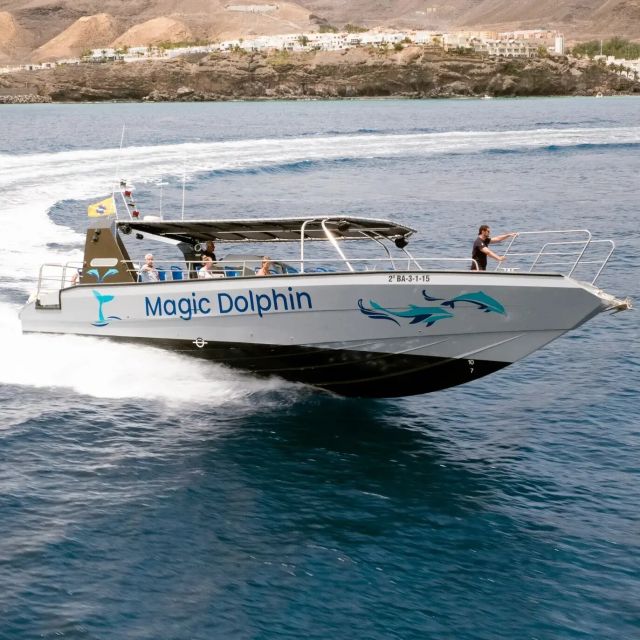 Morro Jable: Dolphin & Whale Watching Cruise, Drinks & Swim - Price and Value: Is $58 Reasonable for 2 Hours?
