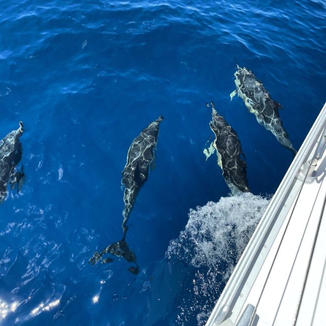 Morro Jable: Sailing Boat Excursion with Food and Drinks - Why Morro Jable sailing feels like real Atlantic time