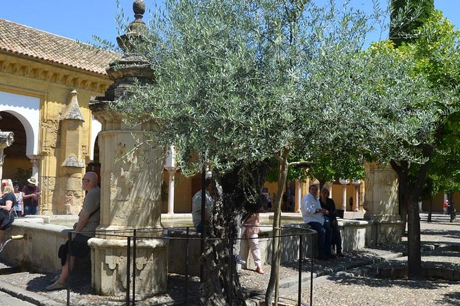 Mosque of Cordoba History Tour in English Tickets included - Audio Receivers and Small-Group Flow: Hearing Every Word