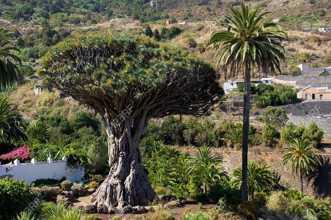 Mt. Teide and Masca Valley Tour in Tenerife - Time on the coach: the trade-off you are buying