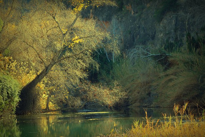 Murcia: Canyon of Almadenes Rafting, Caves & Photos - Cave of the Otters: Wildlife Time in a Real Cave Setting