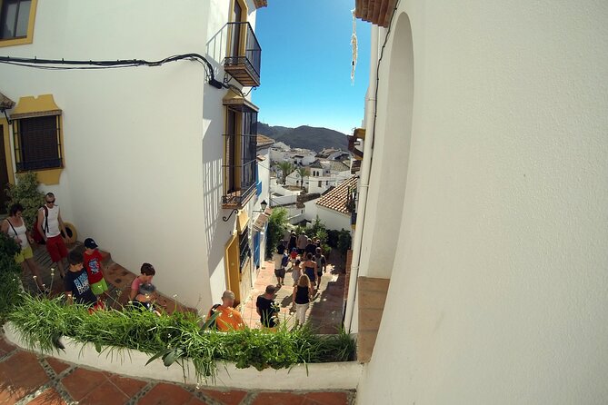 Natural Parck Jeep Eco Tour from Costa del Sol - The off-road ride experience: 360-degree views, bumpy reality