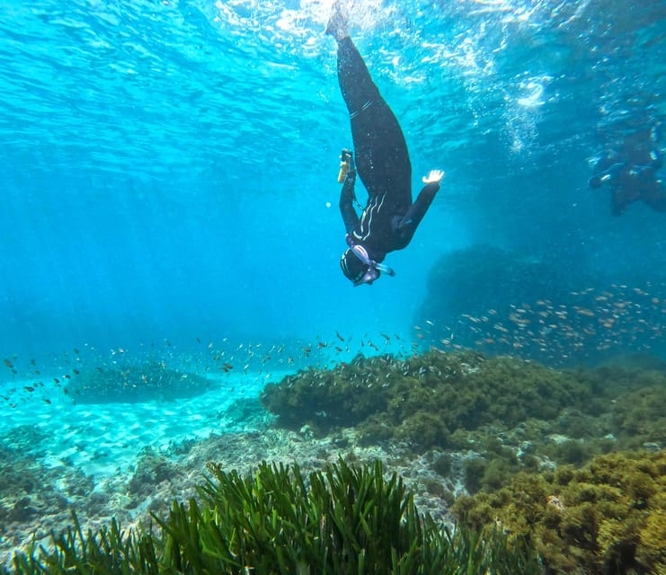 Nerja-Maro: Snorkeling & Sea Scooter Speedboat Trip - Why the Maro-Cerro Gordo cliffs make this snorkel feel worth it