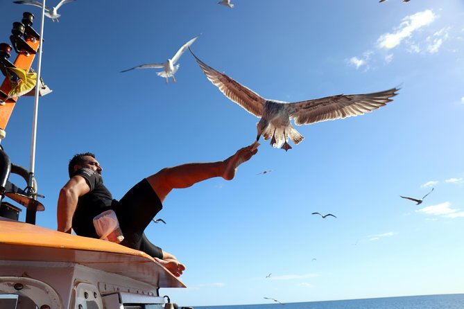 Odyssee 3: The Glass Bottom Boat Tour in Fuerteventura - Key things to know before you go