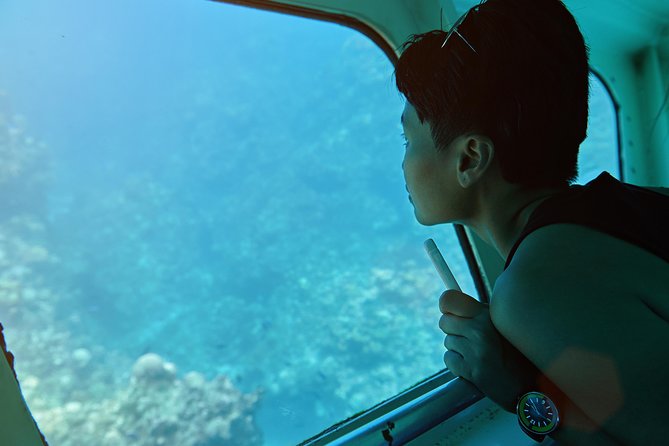 Odyssee 3: The Glass Bottom Boat Tour in Fuerteventura - Why Odyssee 3 works so well in Fuerteventura’s Jandía waters