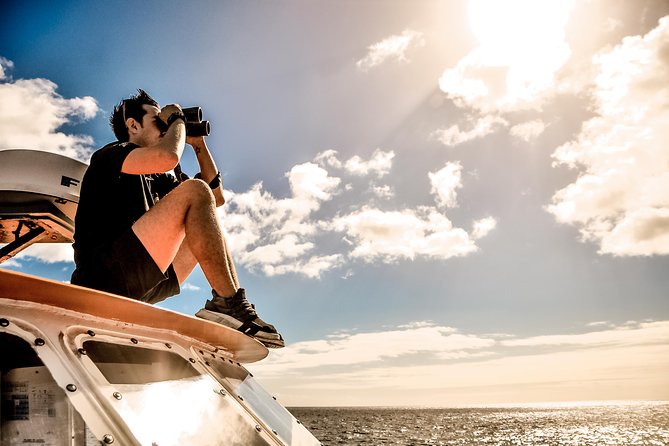 Odyssee 3: The Glass Bottom Boat Tour in Fuerteventura - Sea gull show, farewell dance, and the photo upsell moment
