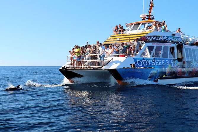 Odyssee 3: The Glass Bottom Boat Tour in Fuerteventura - Who should book, and who should think twice
