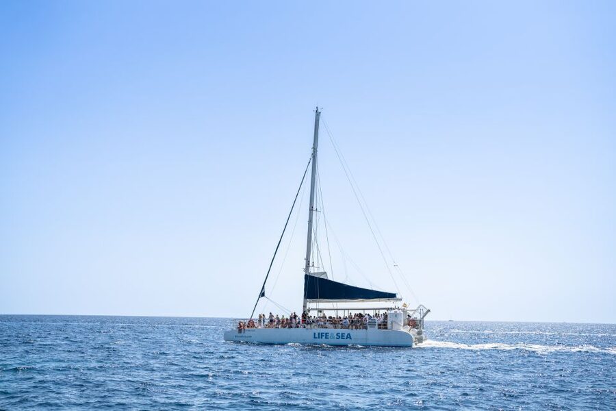 Palma: Catamaran Cruise with Swimming and Snorkelling - The route through Palma Bay, Cap Enderrocat, and Cala Vella