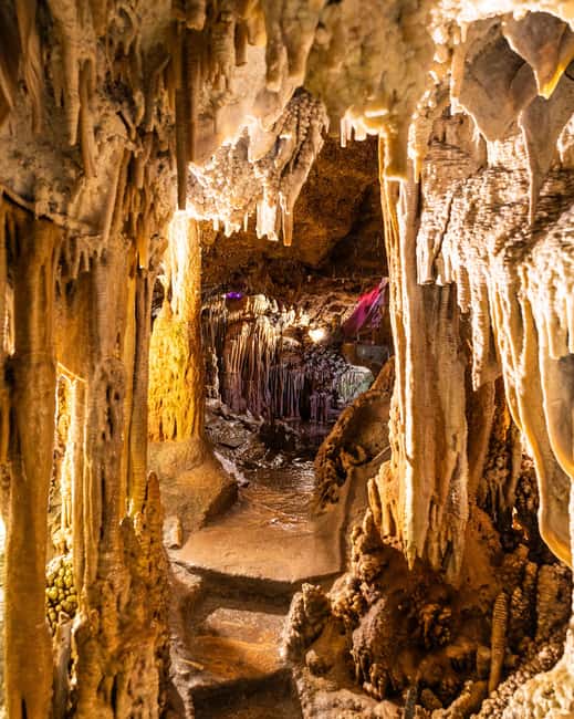 Palma: Caves of Genova Ticket & Digital Audio Guide - Who should book Cuevas de Génova, and who should think twice