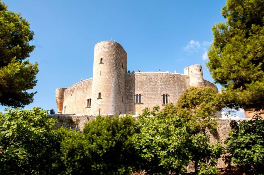 Palma de Mallorca: City Sightseeing Hop-On Hop-Off Bus Tour - FAQ