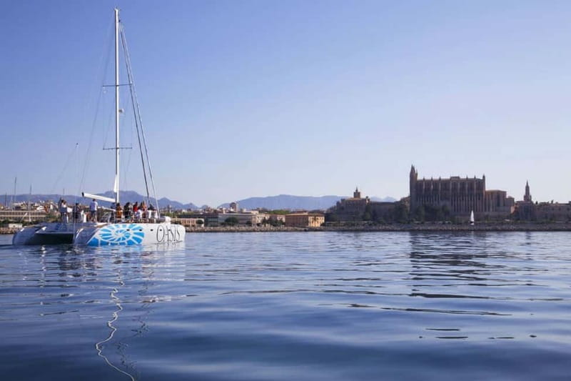 Palma de Mallorca: Deluxe Catamaran Sailing Tour with Meal - The bar, drinks, and the realistic cost of cocktails