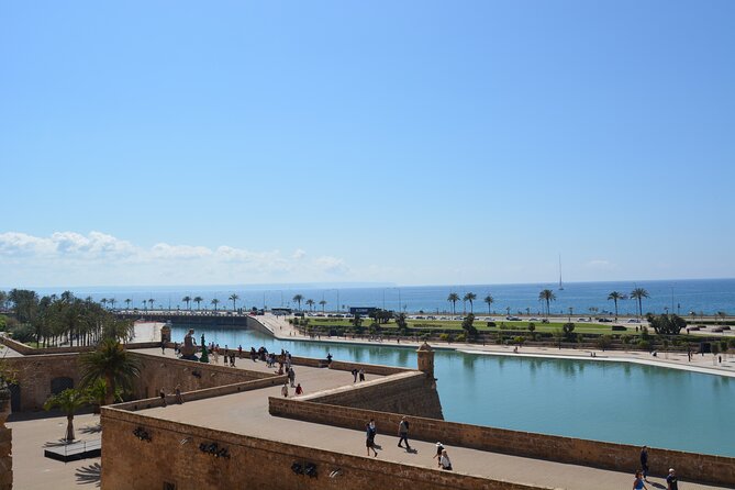 Palma de Mallorca Easy Bike Tour (Small Groups) - From Plaça del Rosari to Call & Ride Mallorca: Getting Rolling at 10:30