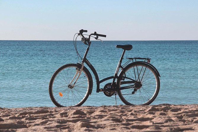 Palma de Mallorca Easy Bike Tour (Small Groups) - Parc de la Mar Calm, Then the Moorish-Rooted Palau de lAlmudaina