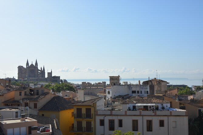 Palma de Mallorca Easy Bike Tour (Small Groups) - Value Check: Is $59.28 a Good Deal?