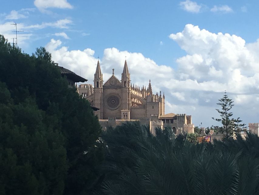 Palma de Mallorca: Guided Tour of the Old Town - Palma in 2 Hours, With the Who and Why Behind Every Corner