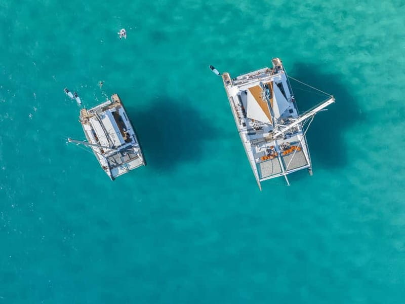 Palma de Mallorca: Half-Day Catamaran Tour with Buffet Meal - Quick Hits Before You Board