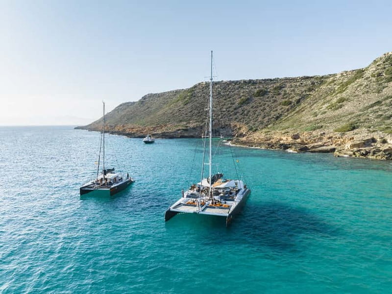 Palma de Mallorca: Half-Day Catamaran Tour with Buffet Meal - Meeting at Golondrinas Marina, Then Out Past Palma’s Front Row