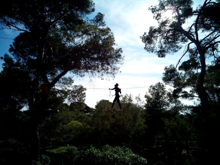 Palma: Family or Sports Course Adventure at Forestal Park - Picking the right course: Family (age 5-6) or Sport (teen and up)