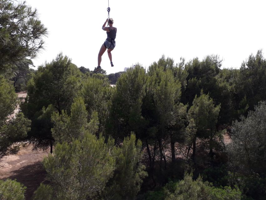 Palma: Family or Sports Course Adventure at Forestal Park - How long it takes and how the pacing actually feels