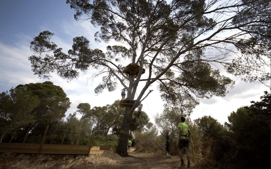 Palma: Family or Sports Course Adventure at Forestal Park - Price and value: is $31 per person a fair deal?