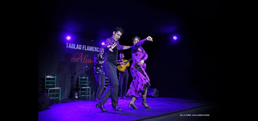 Palma: Flamenco Show at Tablao Flamenco Alma with Drink - Why Tablao Flamenco Alma feels like a real flamenco night in Palma