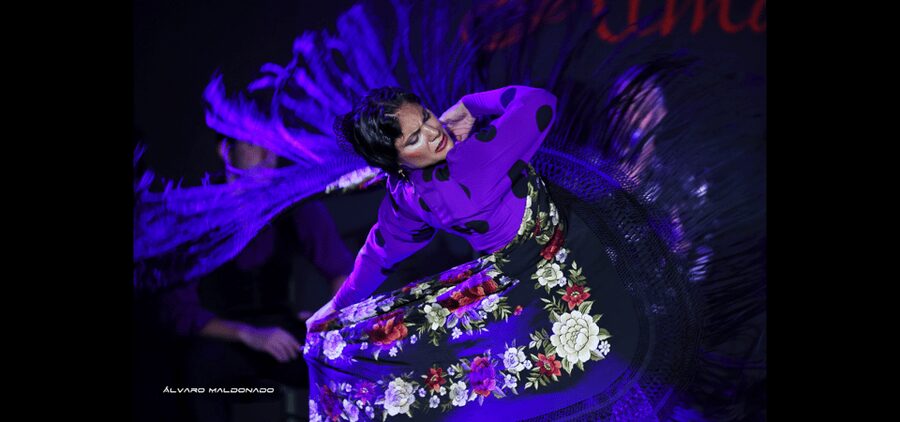 Palma: Flamenco Show at Tablao Flamenco Alma with Drink - Seating and sightlines in Palma, how to avoid a bad view
