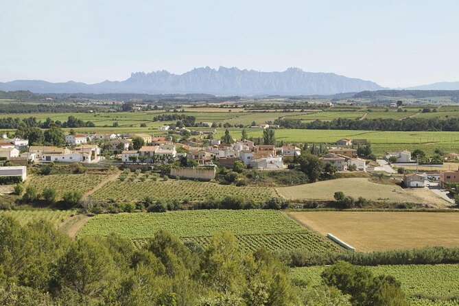 Penedes Wine & Cava Tasting & 4WD Vineyards Tour from Barcelona - Key Highlights You Will Notice Fast