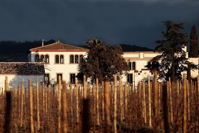 Penedes Wine & Cava Tasting & 4WD Vineyards Tour from Barcelona - Second Winery: Jeep Ride Through Vineyards and Still-Wine Cellars