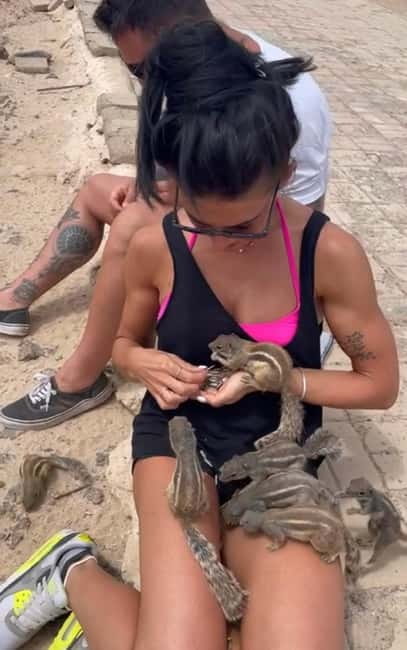 Popcorn Beach, Isla de Lobos y Dunas: ¡Popcorn Beach! - Chipmunks in Fuerteventura: feeding time that feels personal