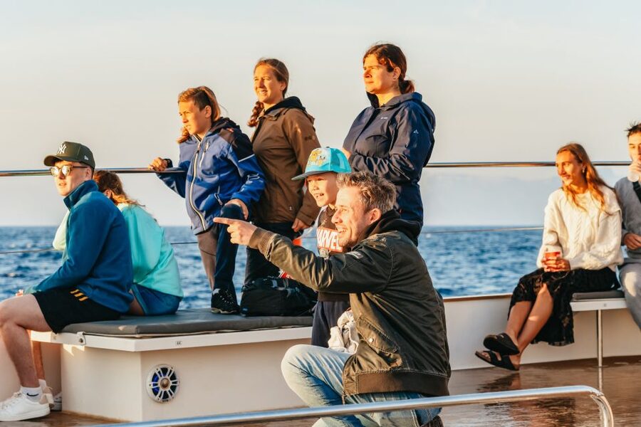 Port d'Alcudia: Sunrise at Sea & Dolphin Watching Boat Tour - The dolphin search: calm positioning and respectful viewing time