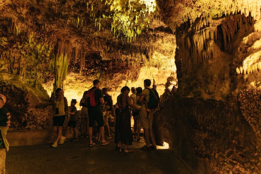 Porto Cristo: Caves of Hams Entry Ticket - Getting your ticket used at the box office (without losing your slot)