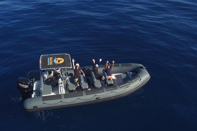 Private 2 hour Whale Watching Tour - Key Takeaways Before You Go
