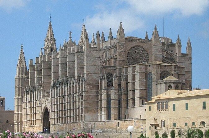 Private sailing with Paella and Tapas in Palma - Key Highlights You’ll Care About
