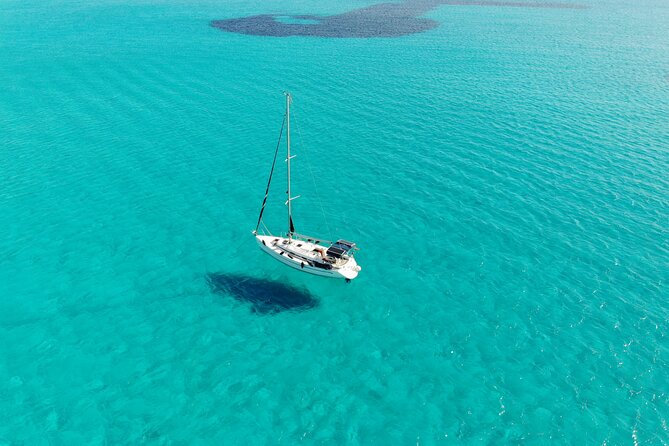 Private sailing with Paella and Tapas in Palma - Private Sailing with Paella and Tapas in Palma: The Real-World Feel