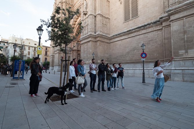 Private walking tour in Palma de Mallorca with local guides. - Ca’n Oms and Can Bordils, Patio Mallorquín Courtyards That Change Your Pace