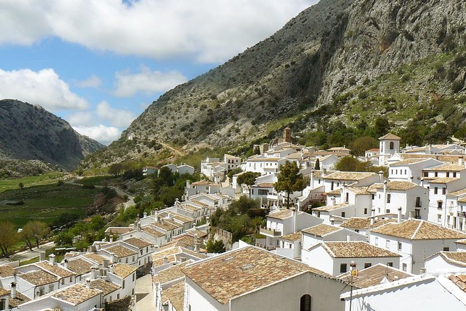 Private White Villages & Ronda Day Tour from Seville - Grazalema viewpoints and Sierra de Grazalema Natural Park