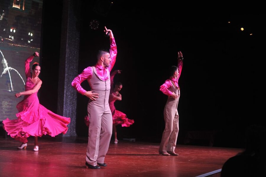 Puerto de la Cruz: Flamenco Show at Casa Ábaco with a Drink - Who Should Book This Flamenco Night?