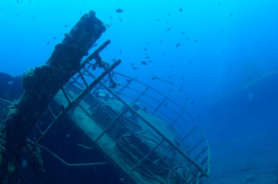 Puerto de Mogán: Submarine Tour - Key things you should notice before you go