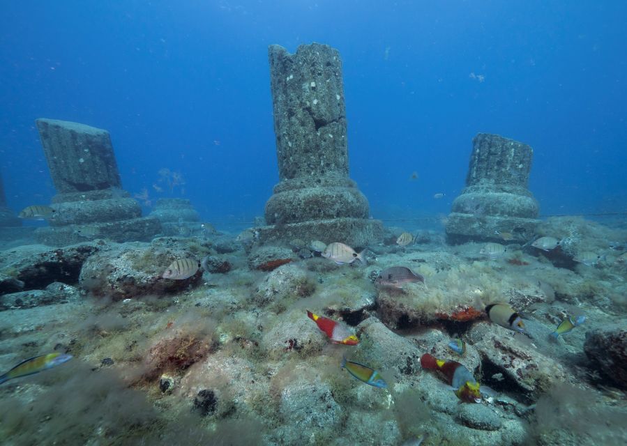 Puerto de Mogán: Submarine Tour - Pictures and souvenirs: how to capture the moment