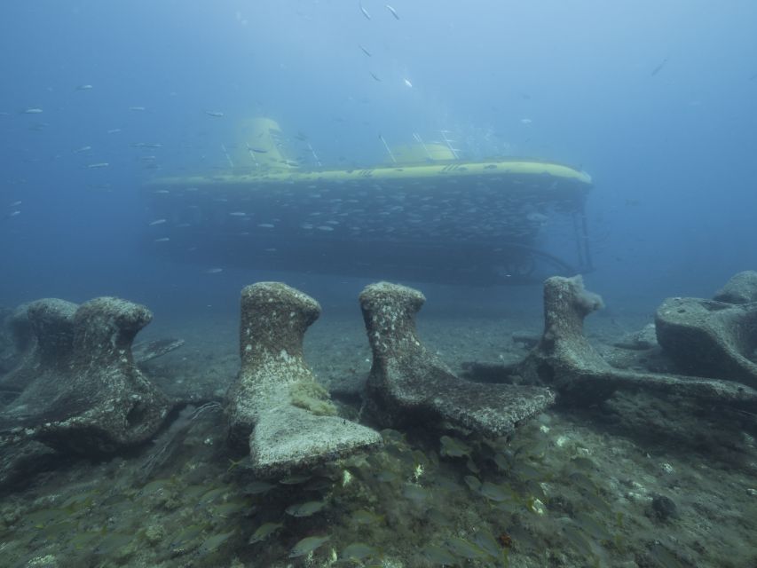 Puerto de Mogán: Submarine Tour - Who this tour fits best, and who should think twice