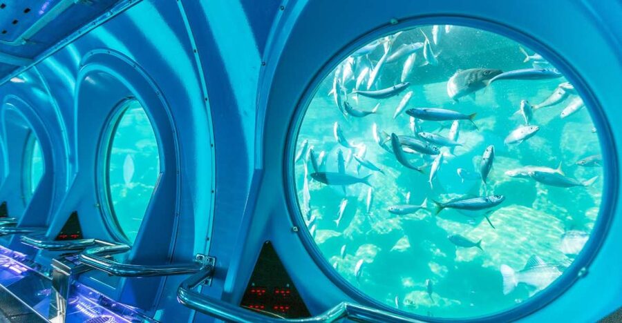 Puerto de Mogán: Submarine Tour - Timing, conditions, and how to get the best views