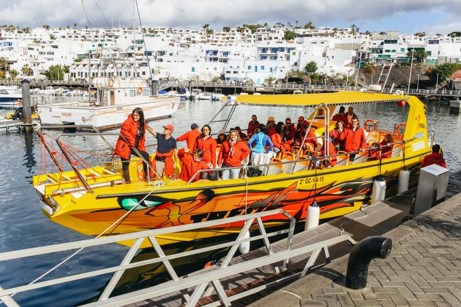 Puerto del Carmen: Dolphin-Watching Speedboat Tour with Swim - Entering the Biosfera Jet: What the Start Feels Like