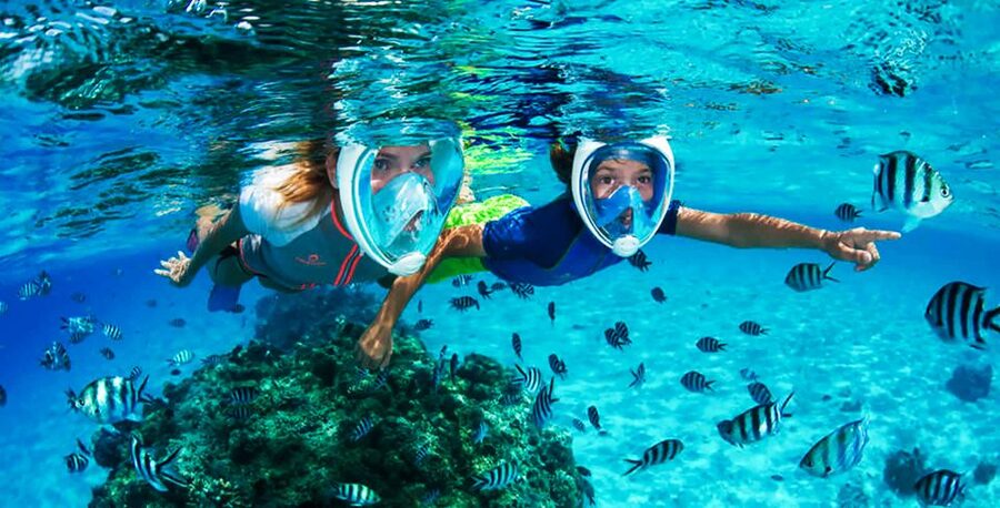 Puerto del Carmen: Dolphin-Watching Speedboat Tour with Swim - Price and Value: Is $41 Worth It for 90 Minutes?