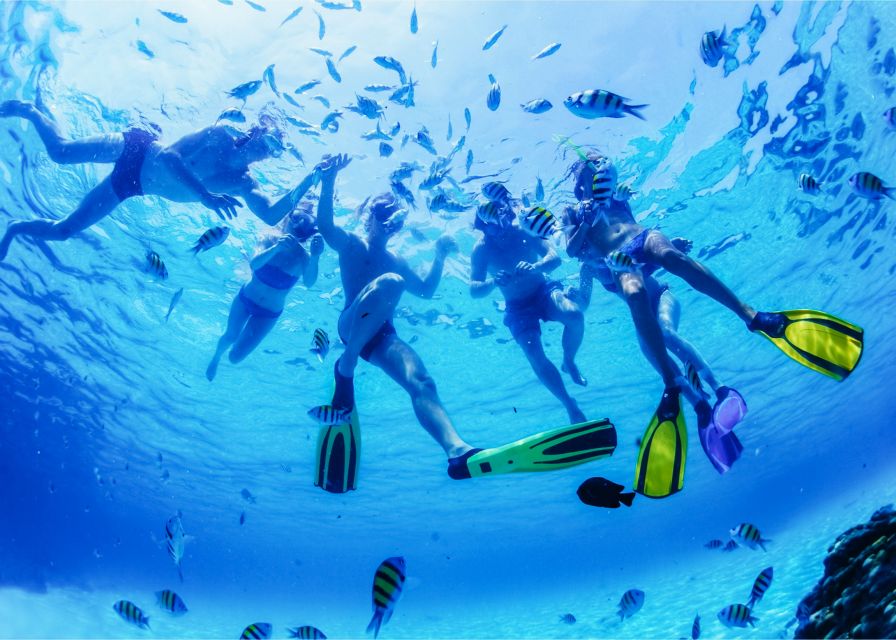 Puerto del Carmen: Dolphin-Watching Speedboat Tour with Swim - Who Should Book This Dolphin Speedboat Tour From Puerto del Carmen