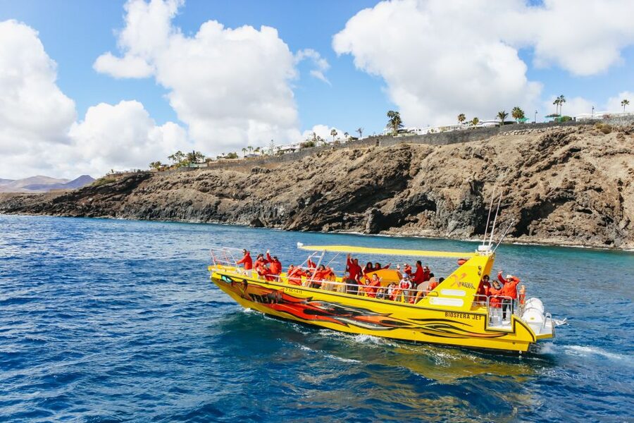 Puerto del Carmen: Dolphin-Watching Speedboat Tour with Swim - Should You Book This Tour?