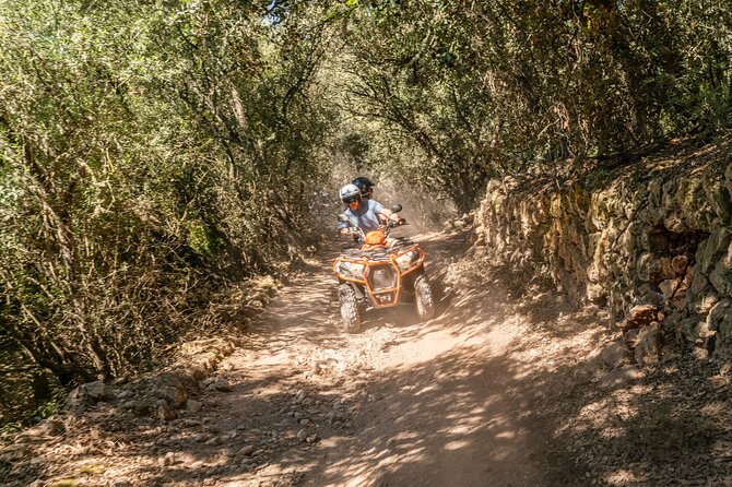 Quad Bike / ATV Tour - Palma’s roads and forest routes: the “get your bearings fast” segment