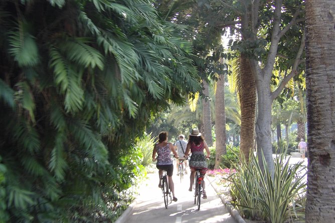 Rent a City Bike: Full Day 24 hours - Málaga by Bike, the Practical Way