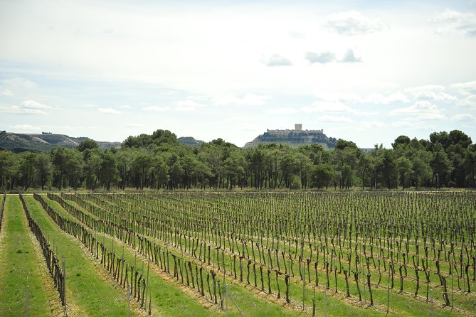 Ribera del Duero Wineries Guided Tour & Wine Tasting from Madrid - Key Things I’d Pay Attention To Before You Go