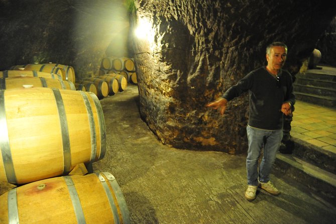 Ribera del Duero Wineries Guided Tour & Wine Tasting from Madrid - Aranda de Duero First Winery: Tempranillo From Grape to Bottle