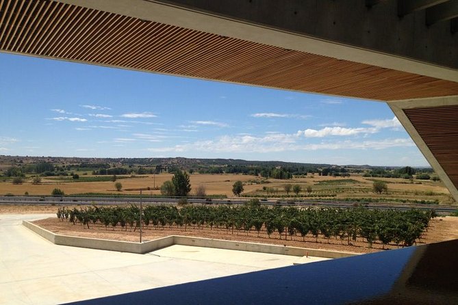 Ribera del Duero Wineries Guided Tour & Wine Tasting from Madrid - Sotillo de la Ribera Second Winery: Modern Architecture Meets the Vines